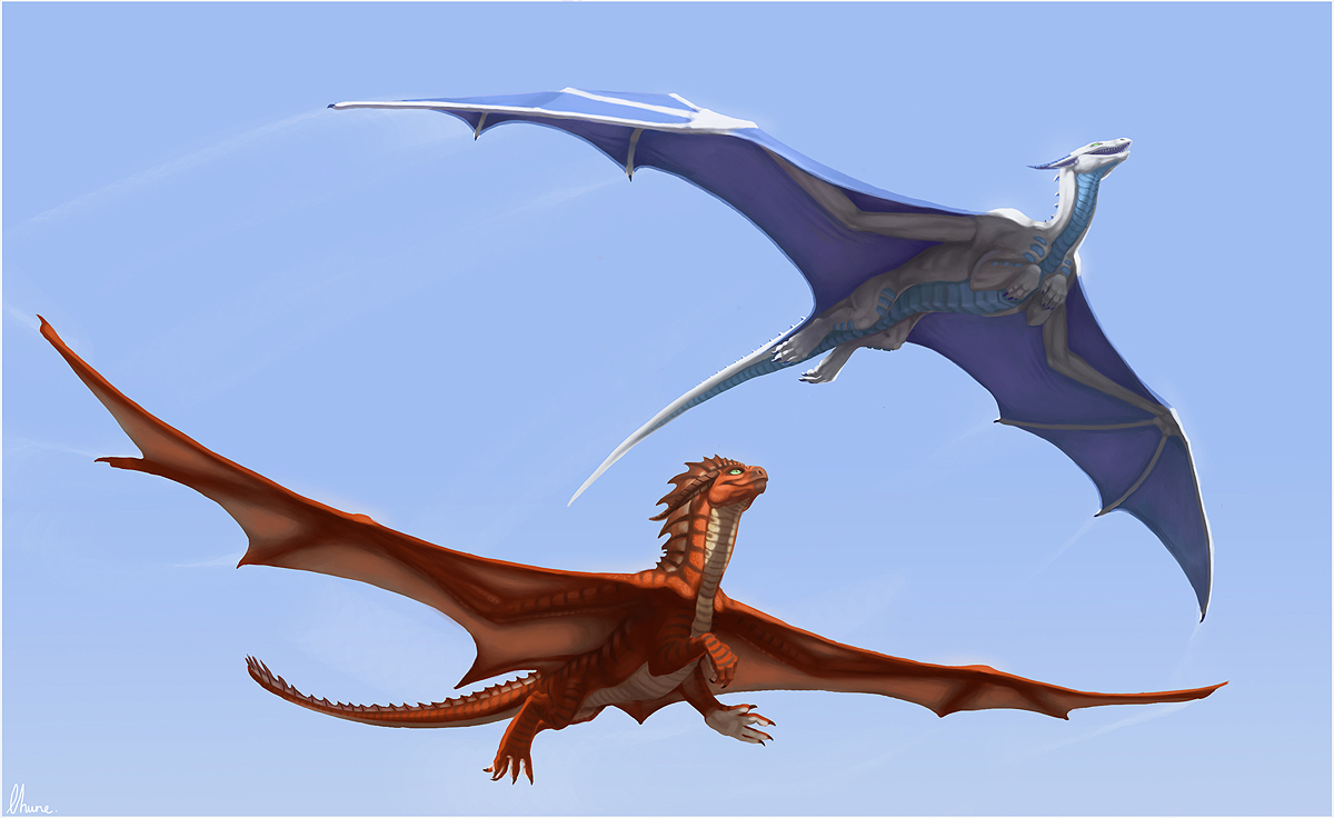 Race by LhuneArt