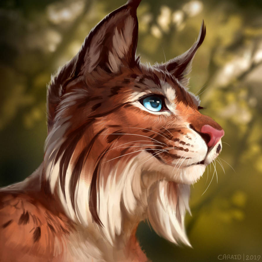 New Light by LhuneArt