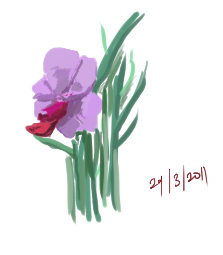 Plant Series - Orchid 01