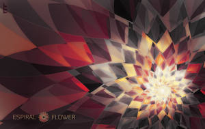 Espiral Flower Wallpaper