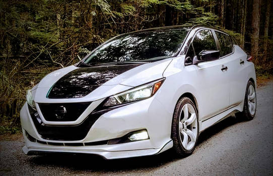 2019 Leaf