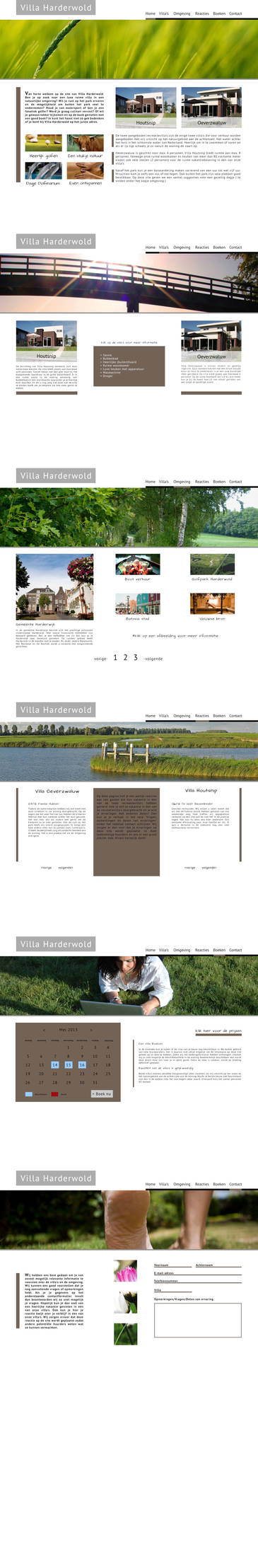 Website interface 2