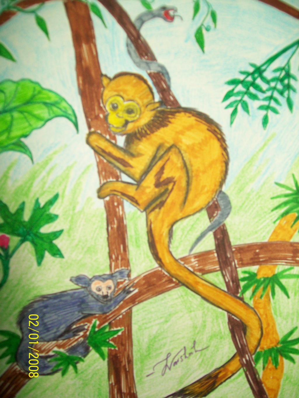 Primates Deviantart Base primates by Varshah-J on DeviantArt
