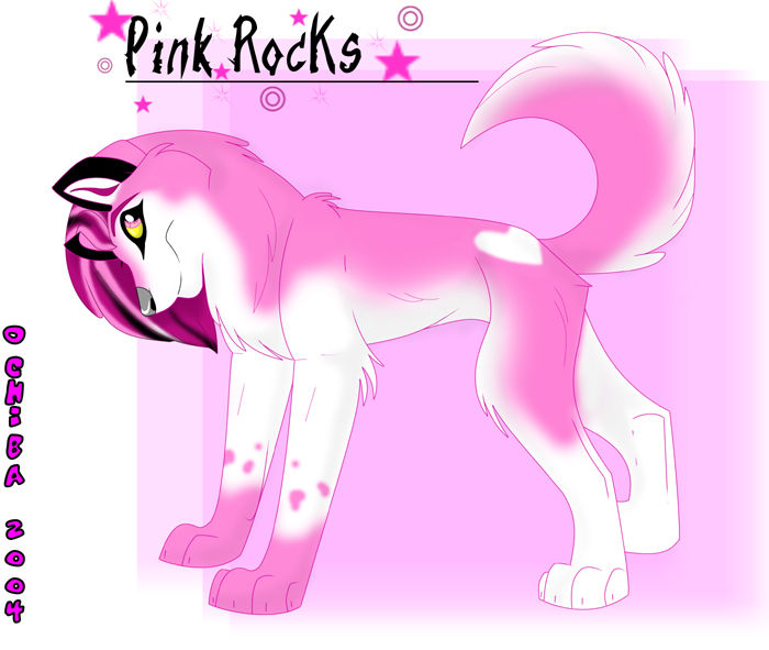 PiNk RoCkS