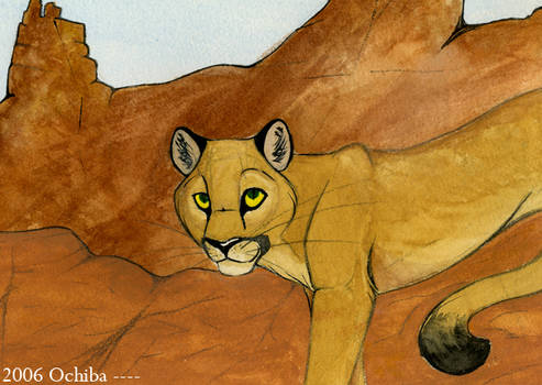 Watercolor Cougar