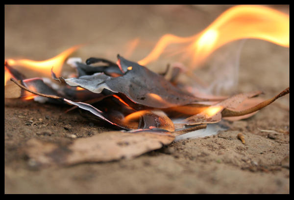 dedication fire by losing-faith on DeviantArt