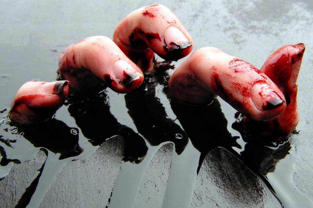 516 by Blood--Stock 516 by Blood--Stock