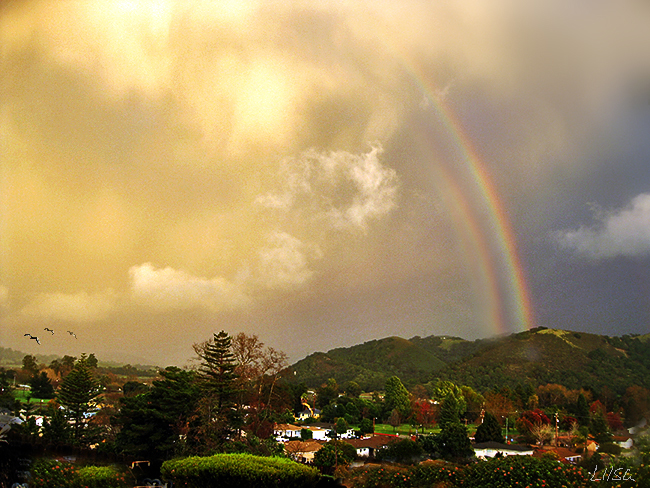 Heavenly Rainbow