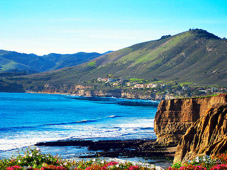 A Spring Day by the Ocean