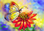Butterfly Feeding on Nectar by happytimer