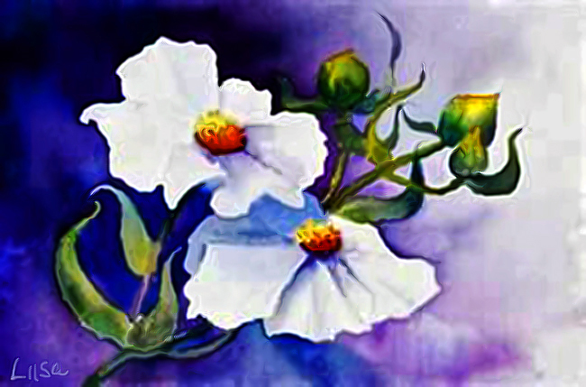 Wild Roses by happytimer Wild Roses by happytimer