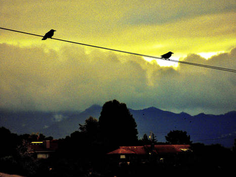 STORM WATCHERS