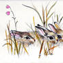 THREE LITTLE BUNNIES