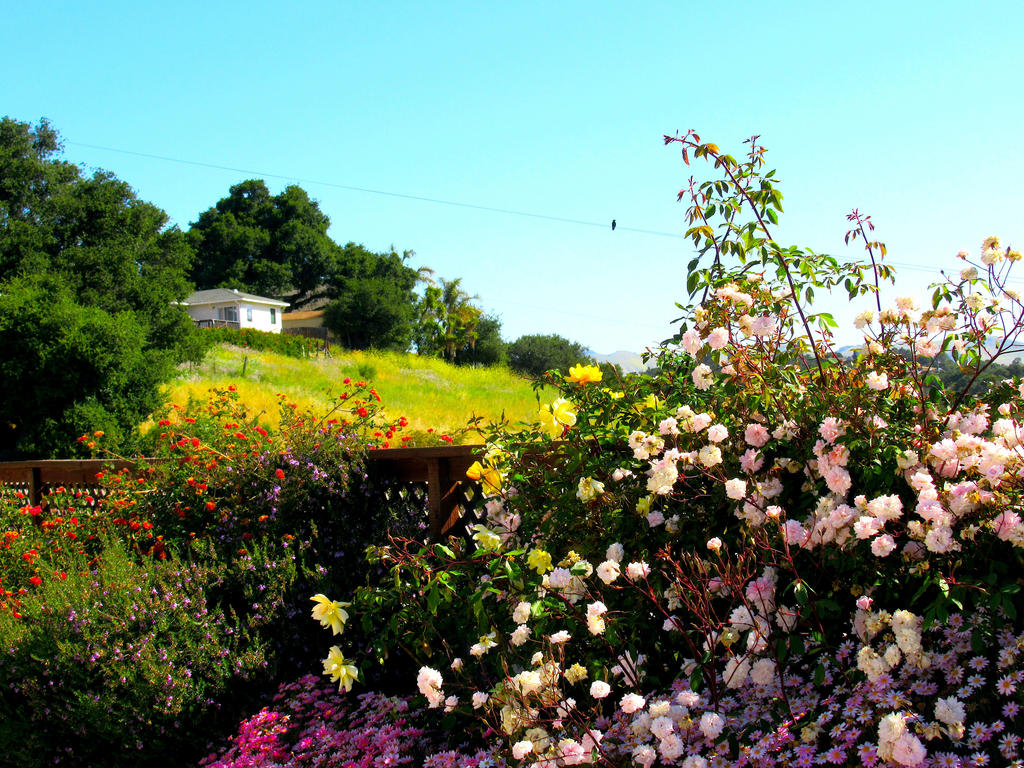 A BEAUTIFUL SPRING DAY by happytimer on DeviantArt