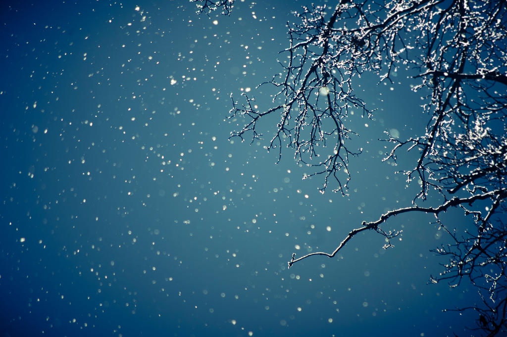 Falling Frost by msteenphotographer Falling Frost by msteenphotographer