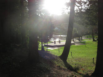 Water Shine - Mingus Park, Coos Bay, Oregon, USA