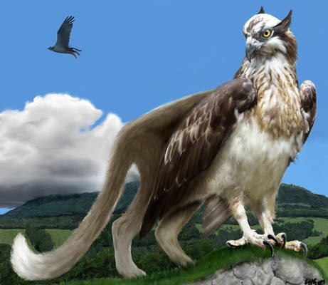 Gryphon