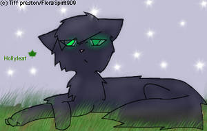 Hollyleaf