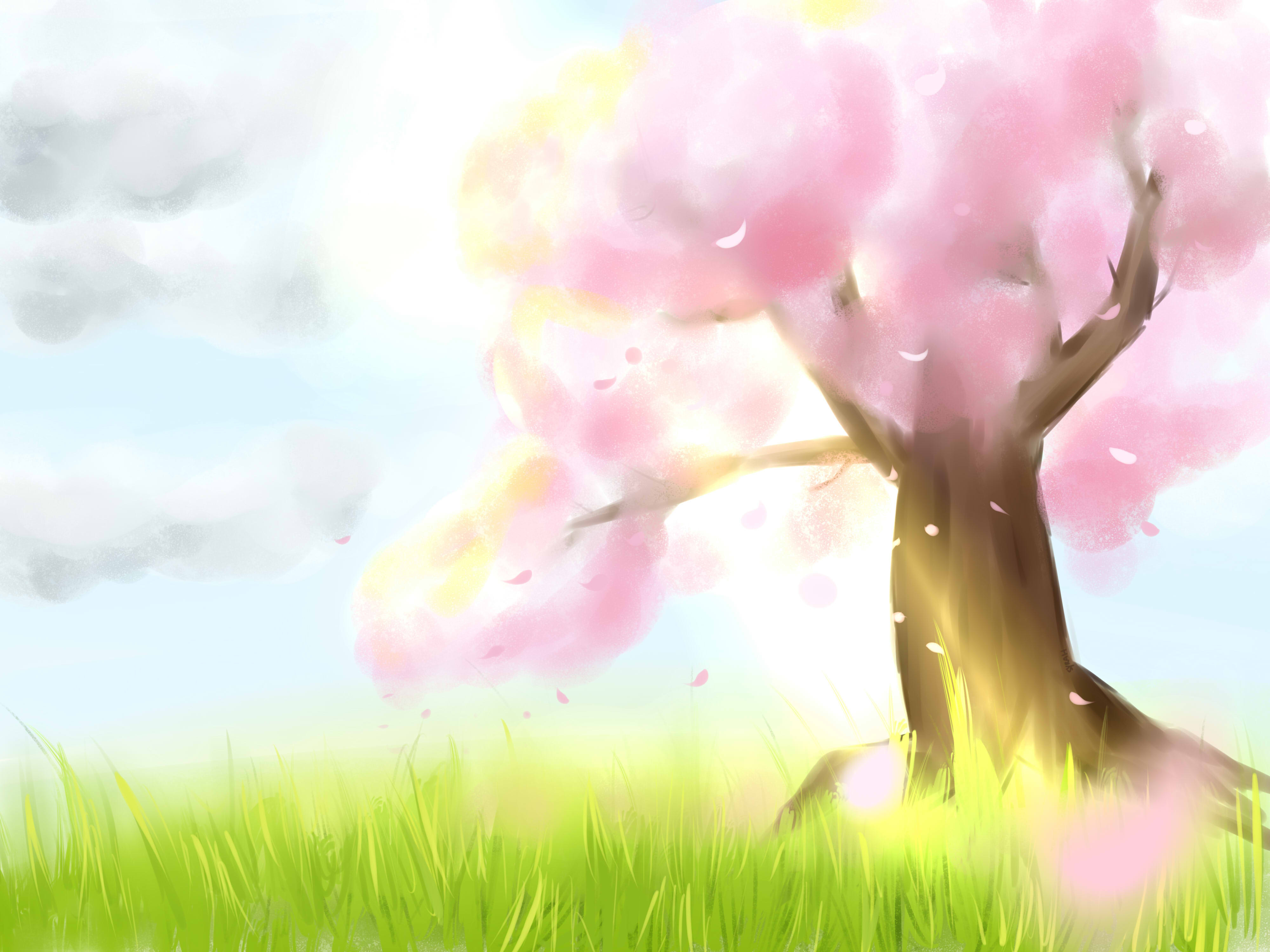 Try sakura now signed