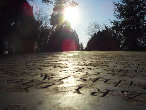 Beautiful Grave