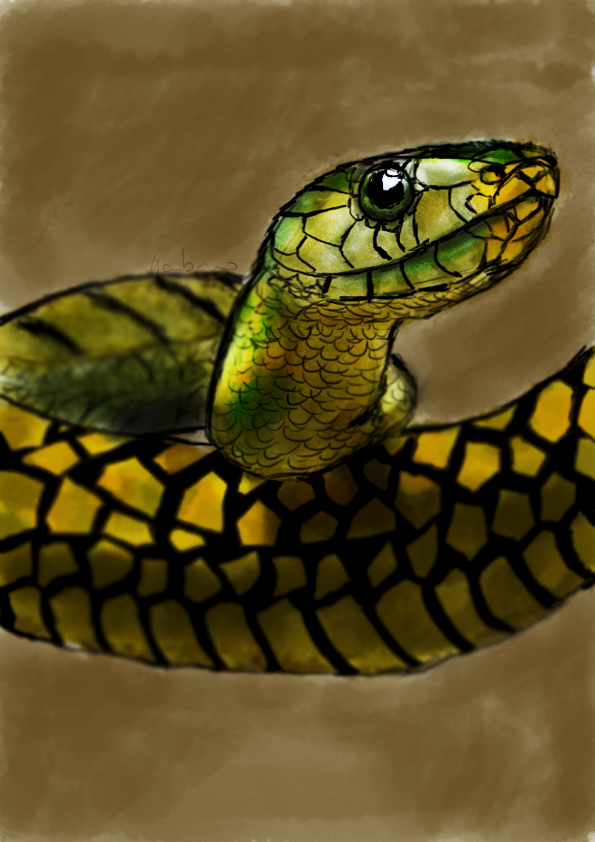 Snake - Digital Painting