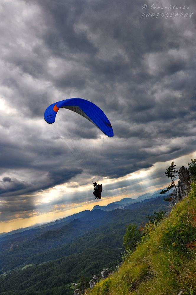 Paraglider