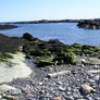 Green Rocks