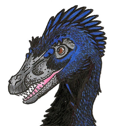 Crow raptor by Weird-Duck on DeviantArt