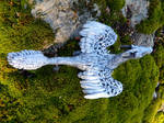 Silver Dragon from Above by MsMergus