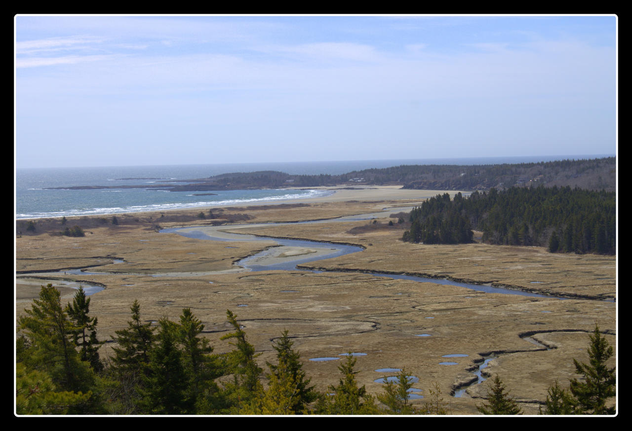 Marsh View