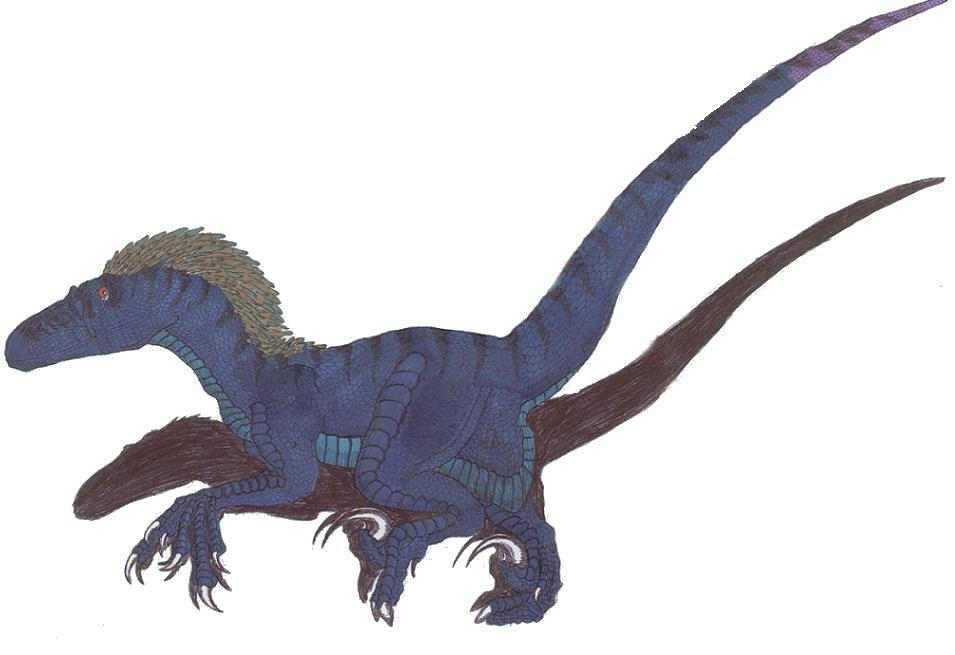 Utah Raptor Color Palet Nazrindi the utahraptor-color by Weird-Duck on DeviantArt