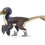 Dakotaraptor steini