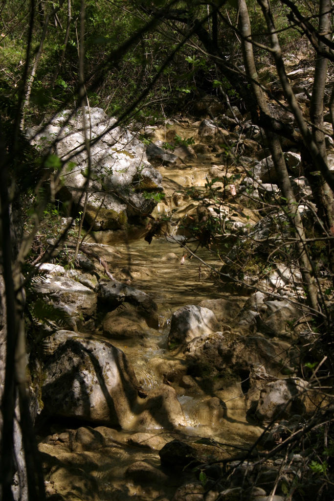 Enchanted Rye by cr4sh-z3r0 on DeviantArt