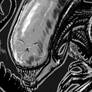 Xeno