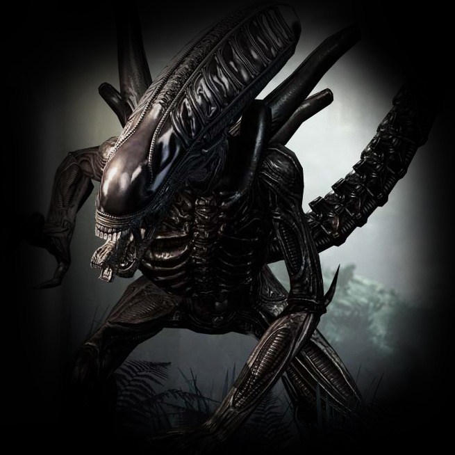 Alien predador  Xenomorph, Alien artwork, Predator alien