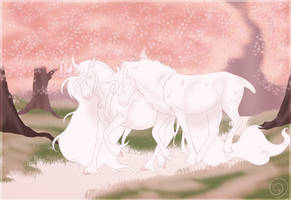 BU | All I Ever Wanted | Gala x Spook