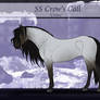 SS | Crow's Call