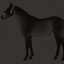 Shrouded Stables - Tack