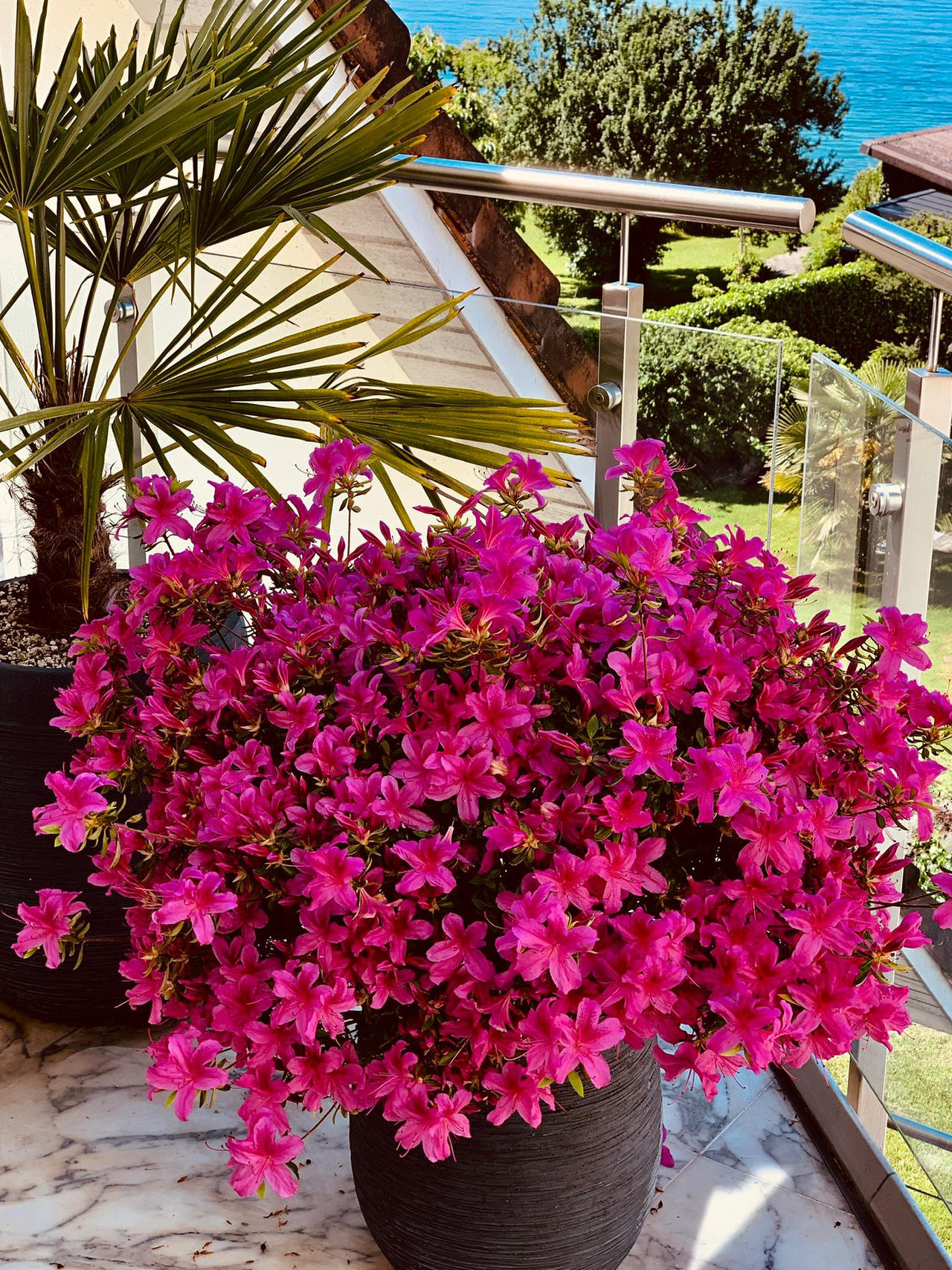 Remo Karpf by remopeterkarpf on DeviantArt