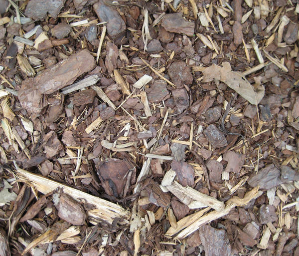 Mulch Texture 2-small