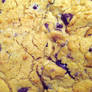 Cookie Texture 1-Choc Chip