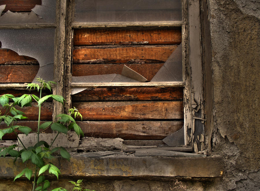 Clue Window Deviantart Window.2 by DeltaSquadron on DeviantArt