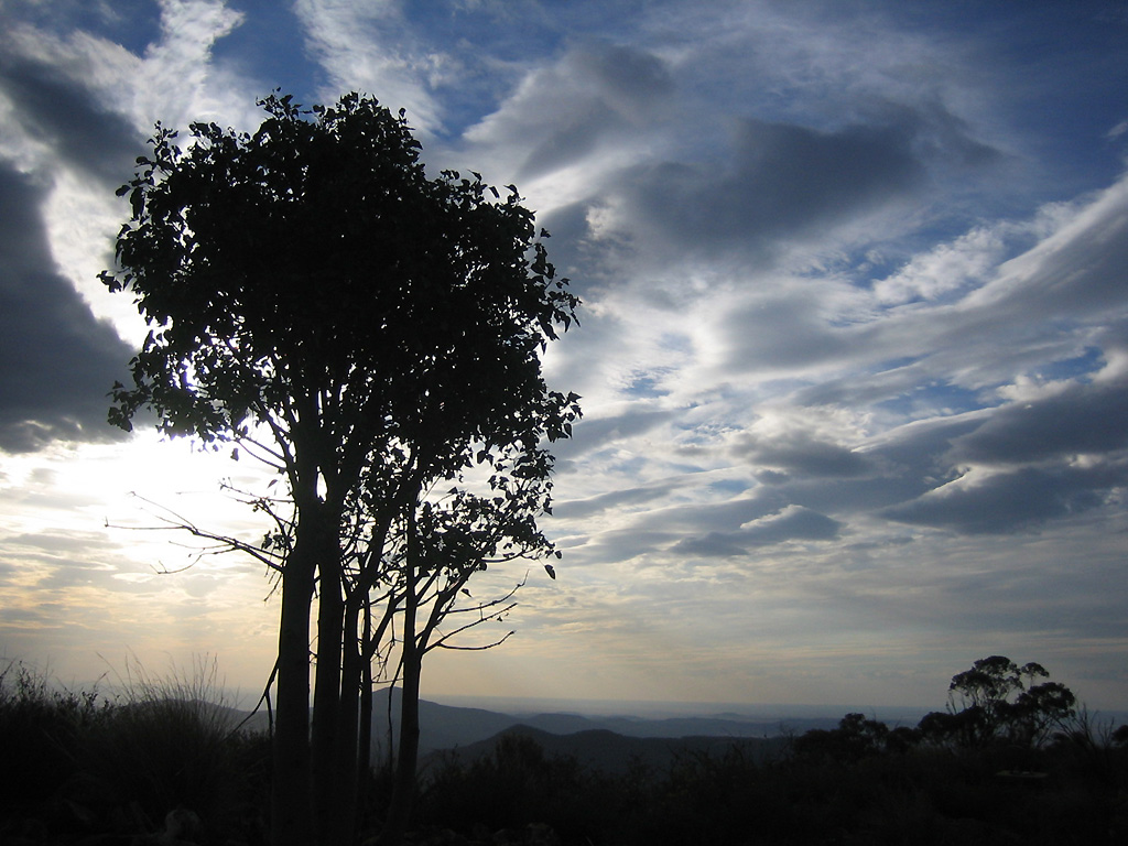 Silhouette III