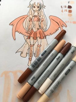 Copics Skin Setch