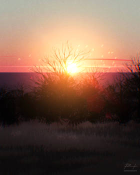 Setting Sun, Rising Cold