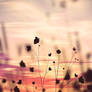 Little wild things