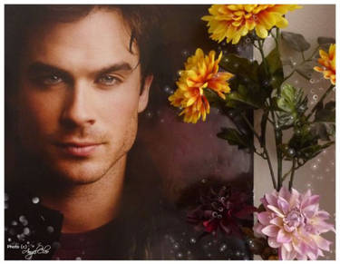 Damon Salvatore I