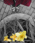 Yellow Lillies by WingedLioness