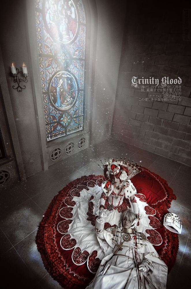 Trinity Blood: The end