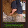 Treeclimber